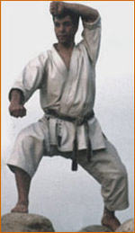 Sensei A.Tanzadeh