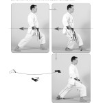 Shitoryu Karate book by Sensei Tanzadeh - Footwork