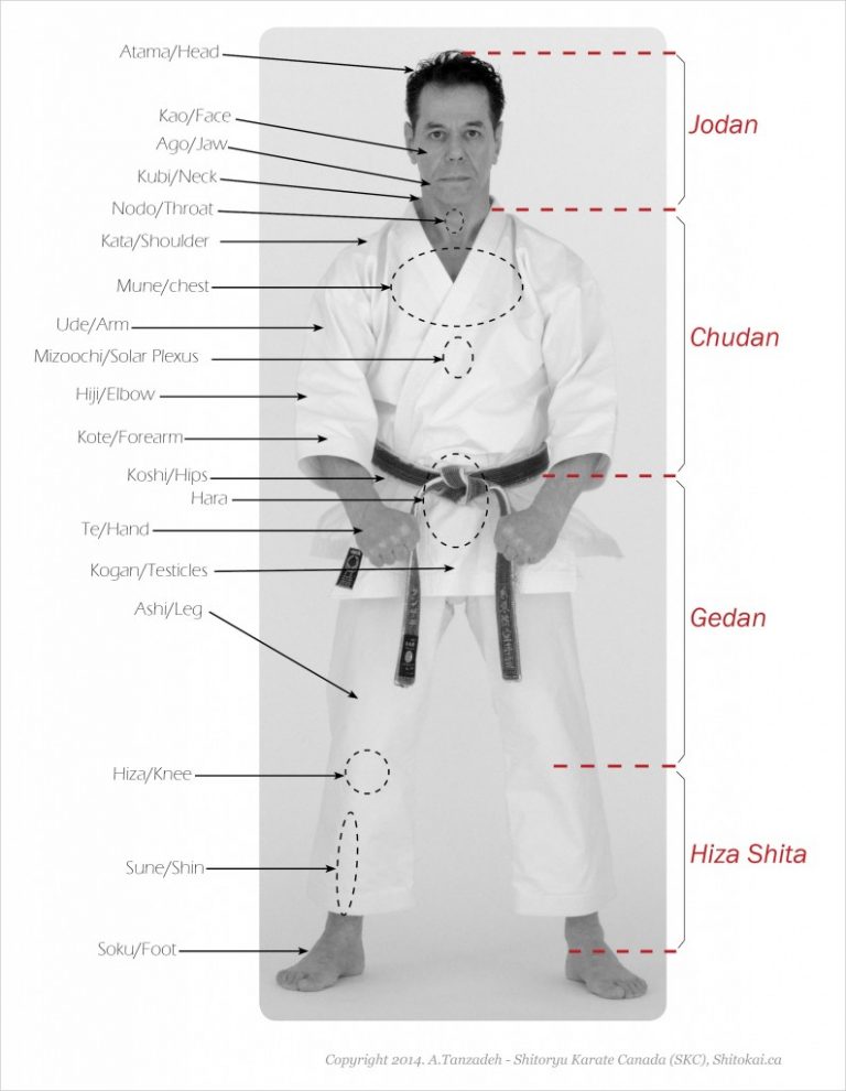 Japanese Terms for Body Parts and Sections A.Tanzadeh, 8th Dan