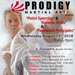 Master Tanzadeh Karate Technical Seminar in Point Sparring and Kumite drills in Mississauga 2018