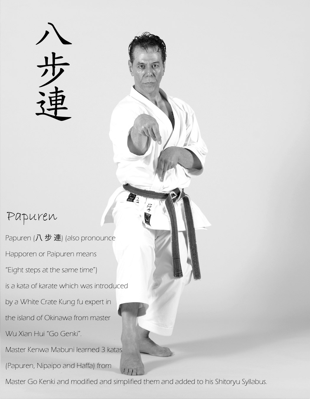 Katas De Karate Do Shito Ryu Pdf Download