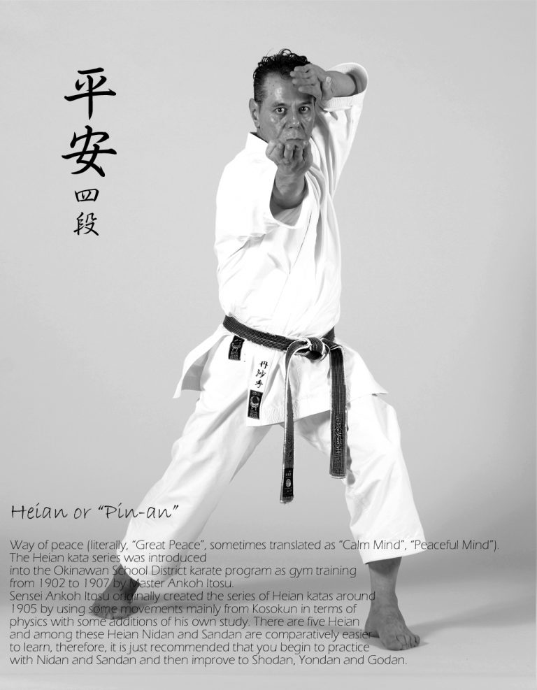 Heian (平 安) Kata “Heian Yondan” A.Tanzadeh, 8th Dan, Kyoshi of World