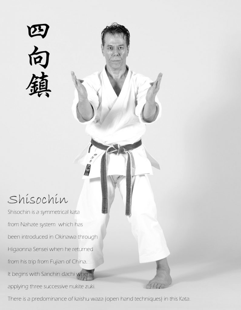 Kyoshi Tanzadeh performing Shisochin Kata of Shitoryu Karate