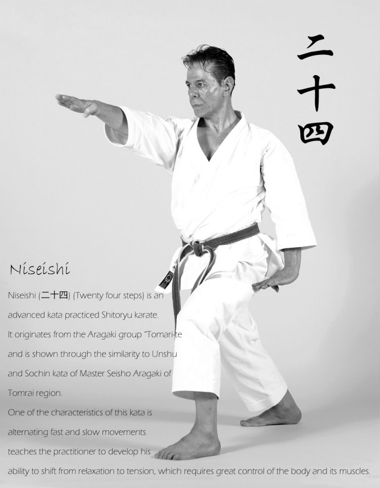 Niseishi (二十四) Kata – A.Tanzadeh, 8th Dan, Kyoshi Of World Shitoryu ...