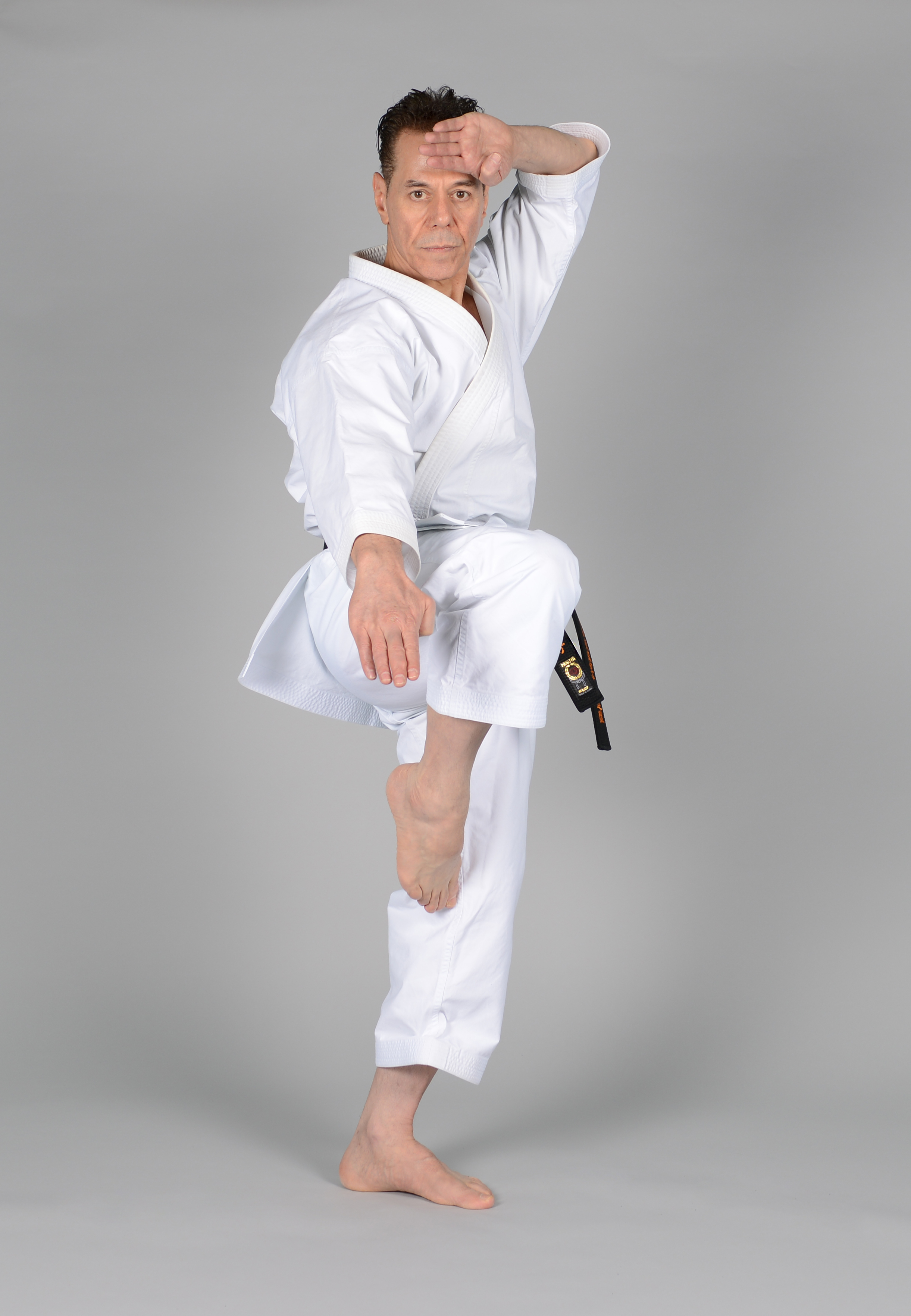 Rohai - Sensei Tanzadeh Shitoryu Karate 8th Dan, Kyoshi
