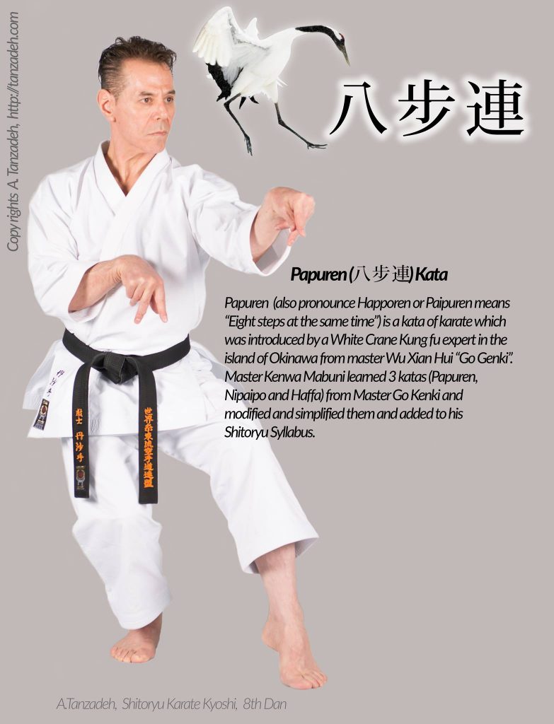 Shito ryu 2025 karate syllabus