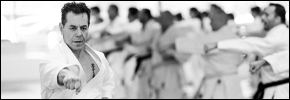 Sensei Tanzadeh Karate Technical Seminars and Workshops
