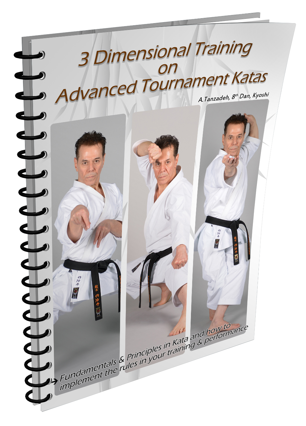 Subjects Being Used In The Technical Seminars By Sensei Tanzadeh – A ...