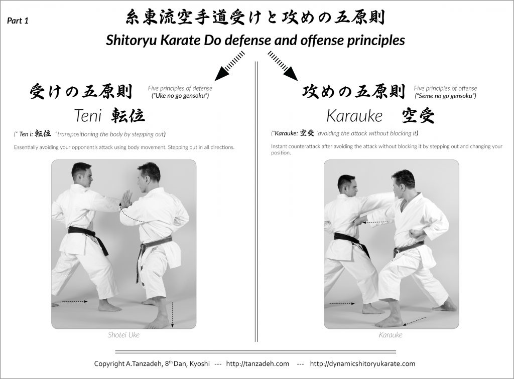 Shitoryu Karate defense and offense principles P. 1 A.Tanzadeh, 8th