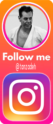 Tanzadeh - Dynamic Karate Instagram